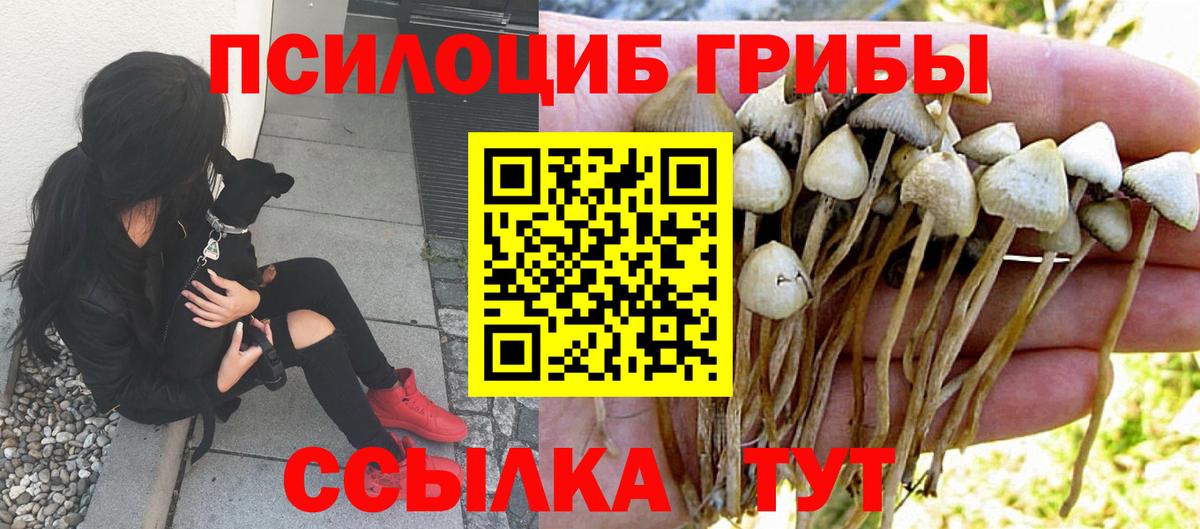 Сургут  Галлюциногенные грибы Magic Shrooms  Галлюциногенные грибы Psilocybine cubensis  Вход с VPN 